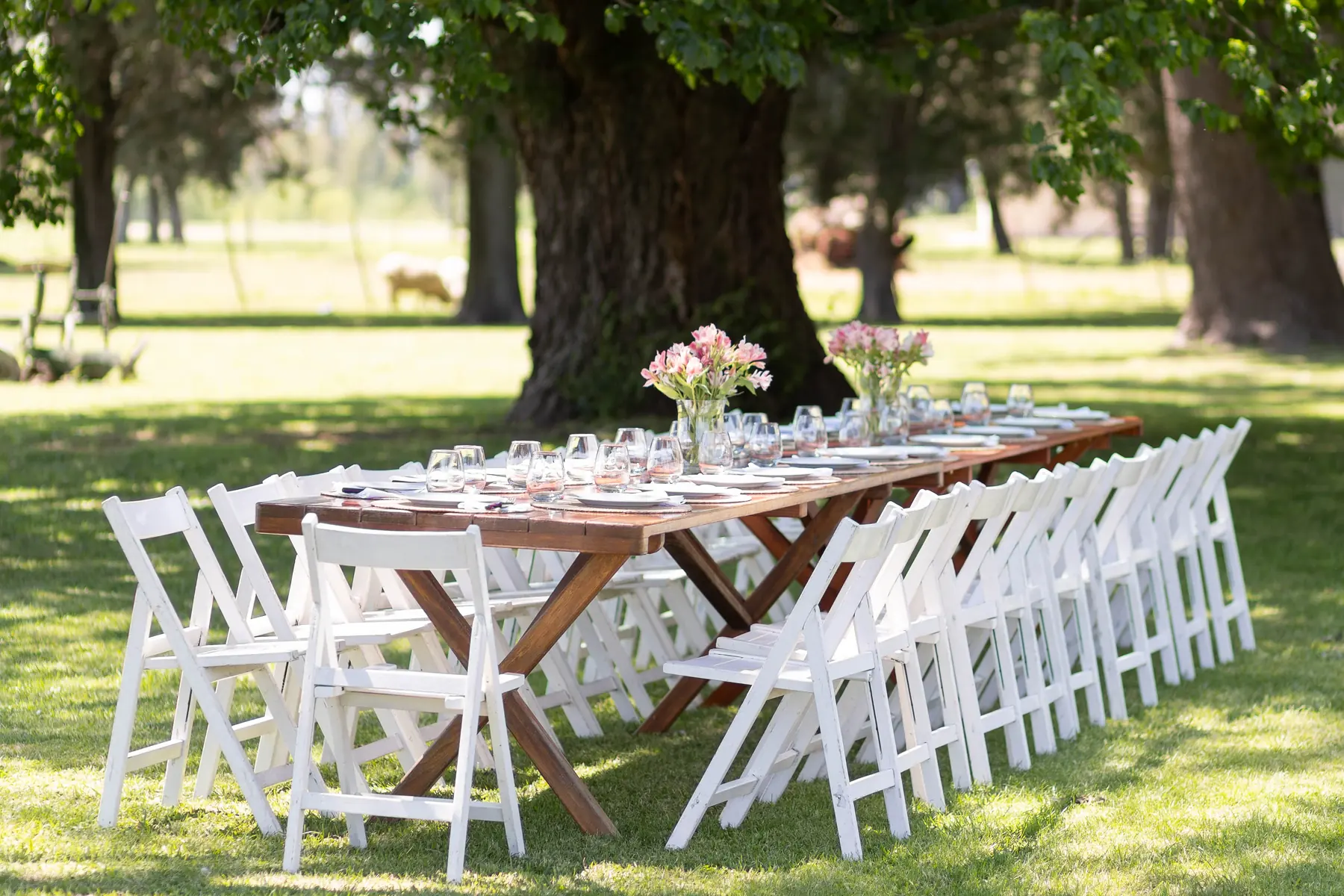 Eventos