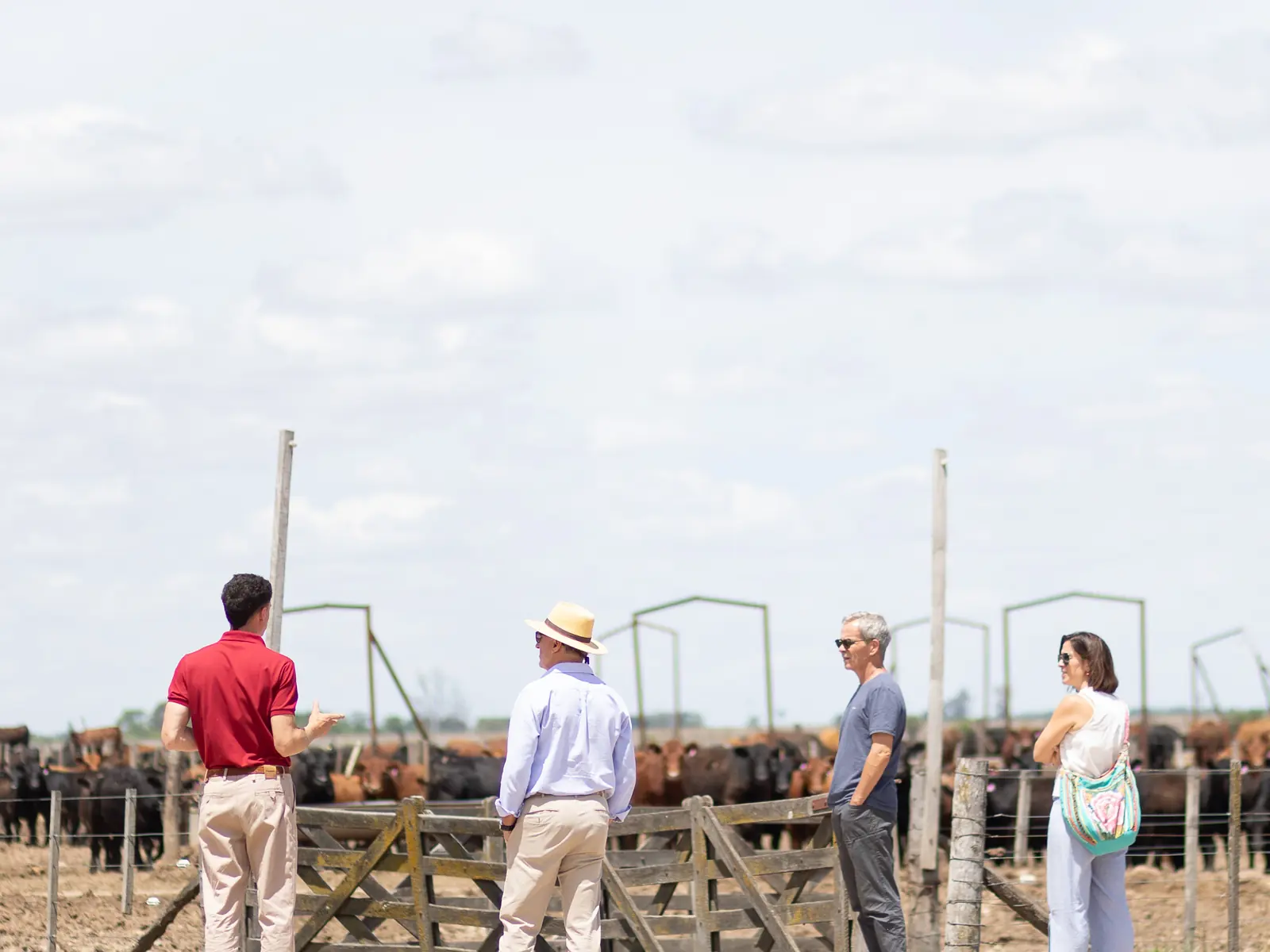 Día de campo